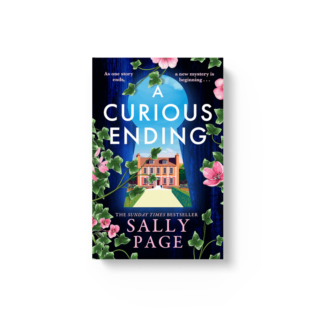 ebook - A Curious Ending by Sally Page
