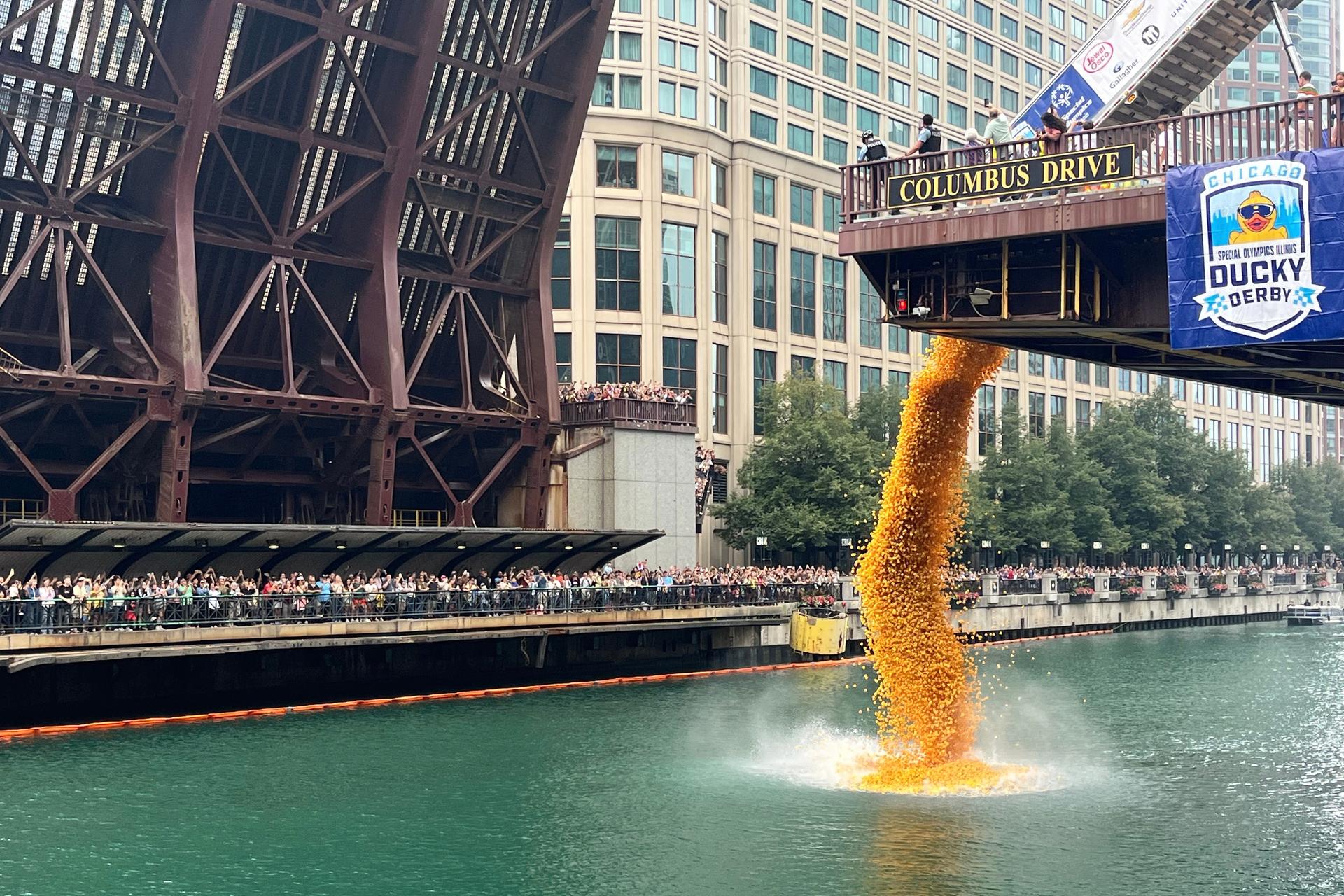 Rubber ducks are dropped into the Chicago River as part of the annual Chicago Duck Derby for Special Olympics Illinois Thursday.