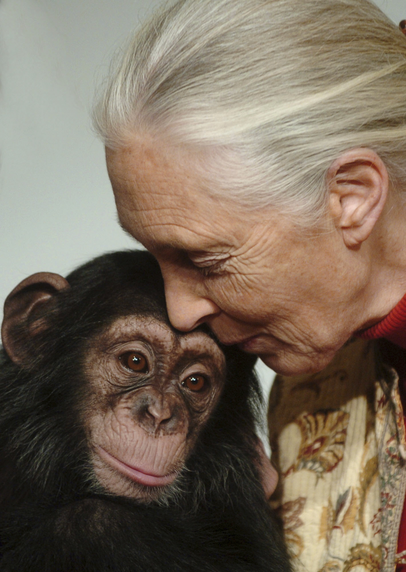 Primatologist Jane Goodall kisses Pola, a 14-month-old chimpanzee in 2004. 