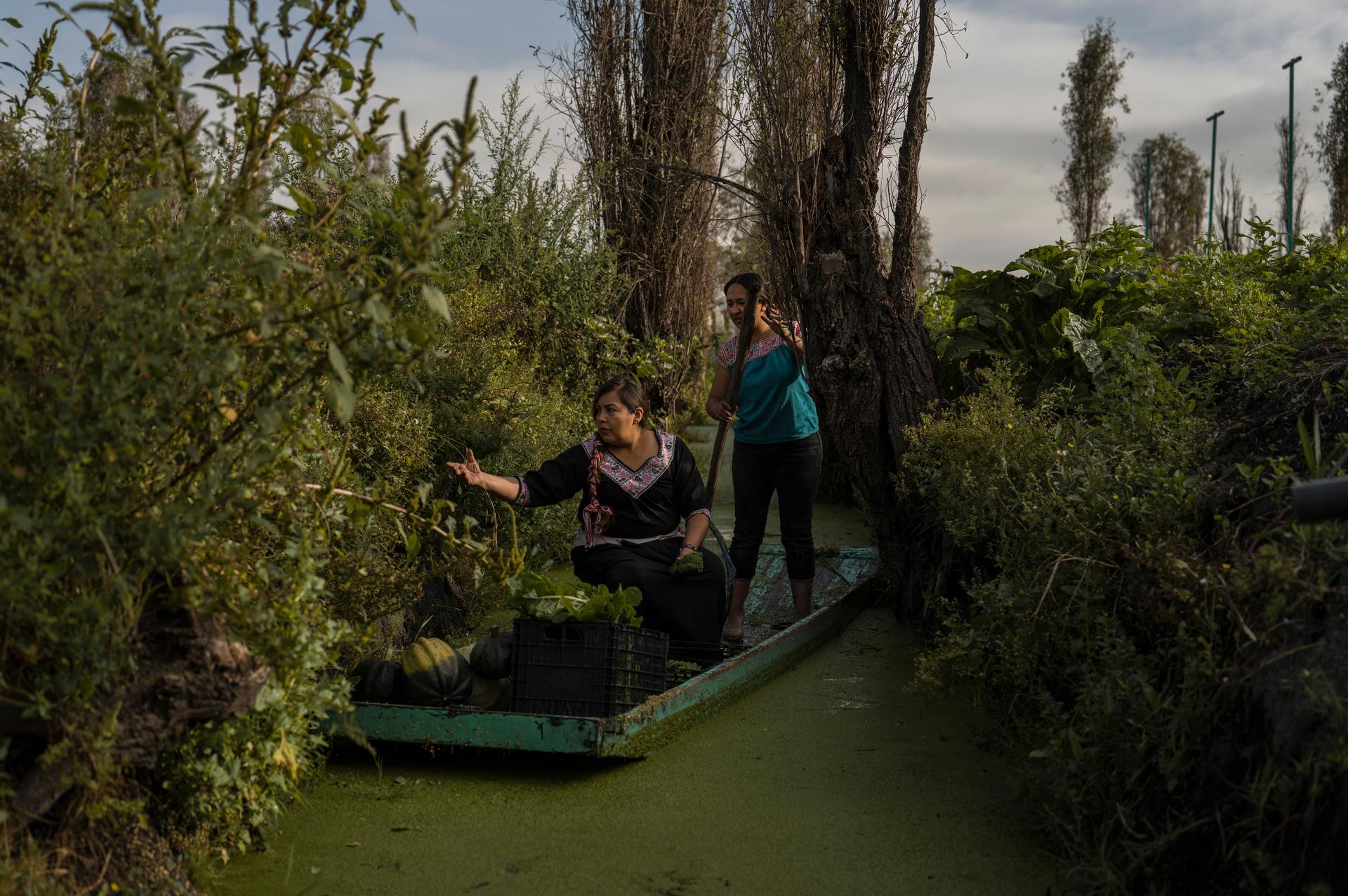 Jasmín Ordóñez and Cassandra Garduño, right, paddle a boat in Garduño's chinampa, an island farm built by the Aztecs thousands of years ago, on Sept. 20. (AP Photo/Felix Marquez)
