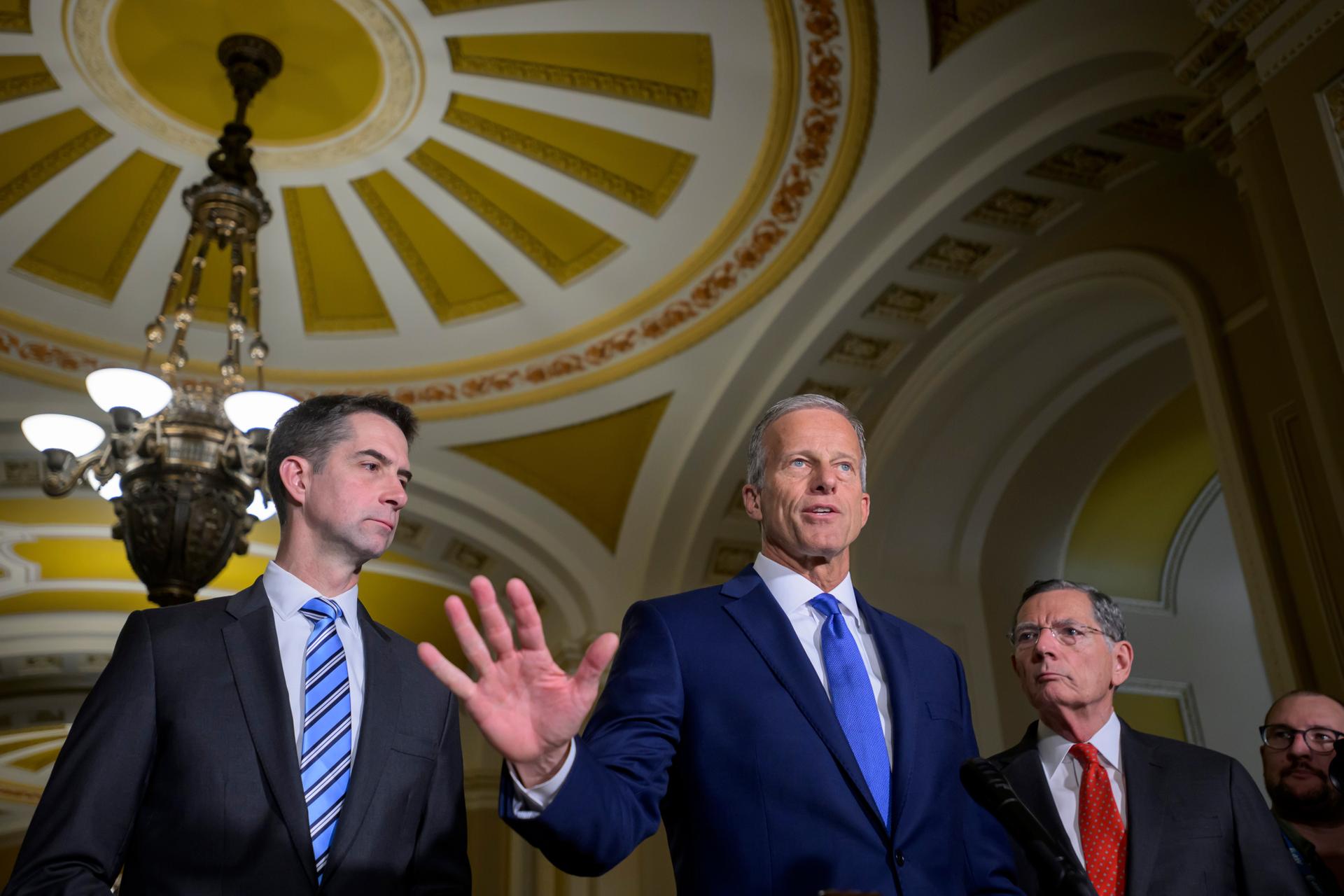 Senate Majority Leader John Thune, R-S.D., center, is joined by Sen. Tom Cotton, R-Ark., left, and Sen. John Barrasso, R-Wyo., during the Senate Republican policy luncheon news conference on Tuesday. (AP Photo/Rod Lamkey, Jr.)