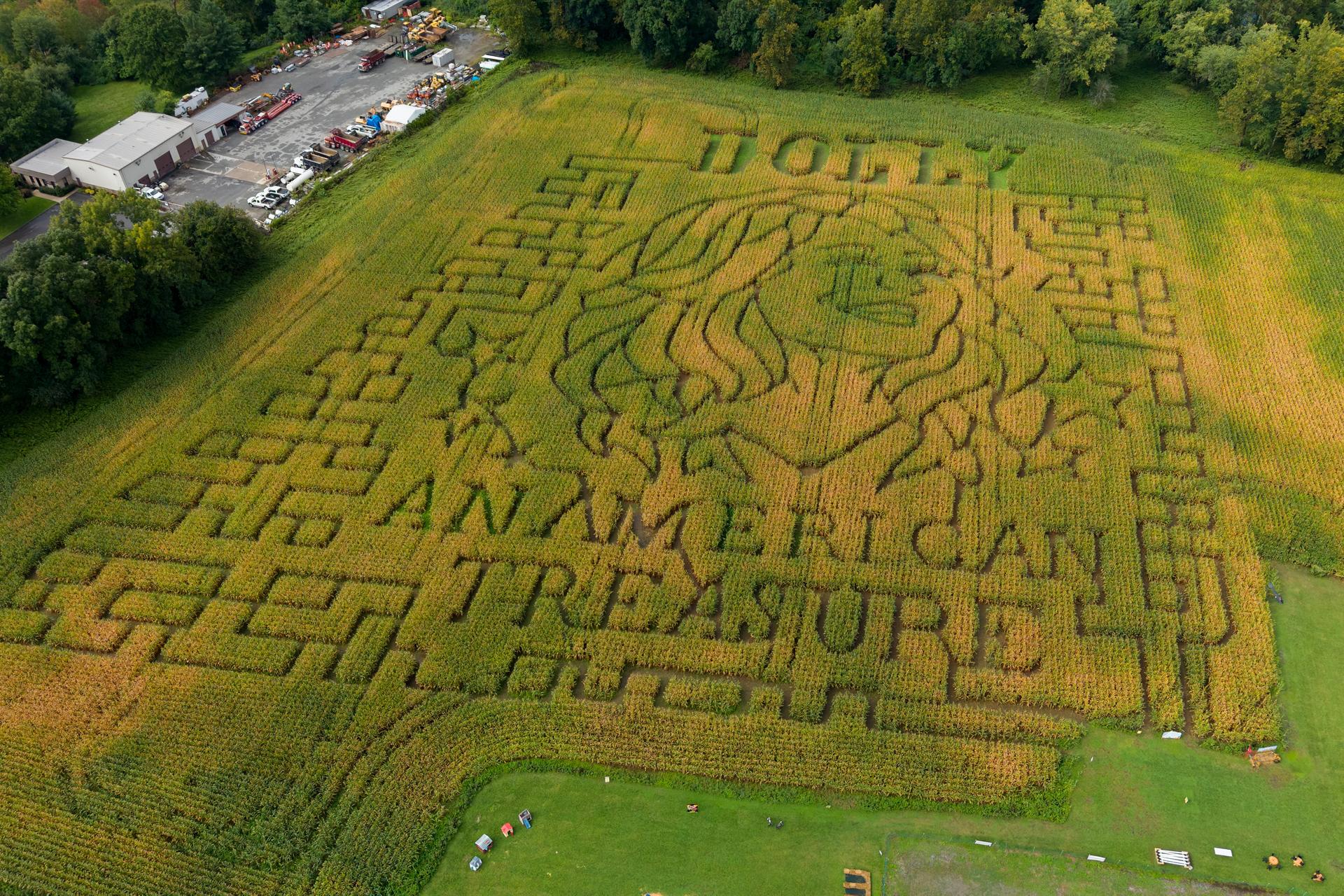 A portrait of Dolly Parton fills a 5-acre corn maze at Twins BBQ Co. in Brookfield, Conn., on Sunday.