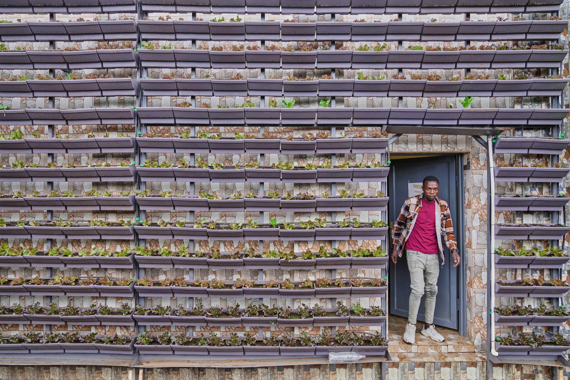 A vertical farm set up in a home compound by Eza Neza, or 