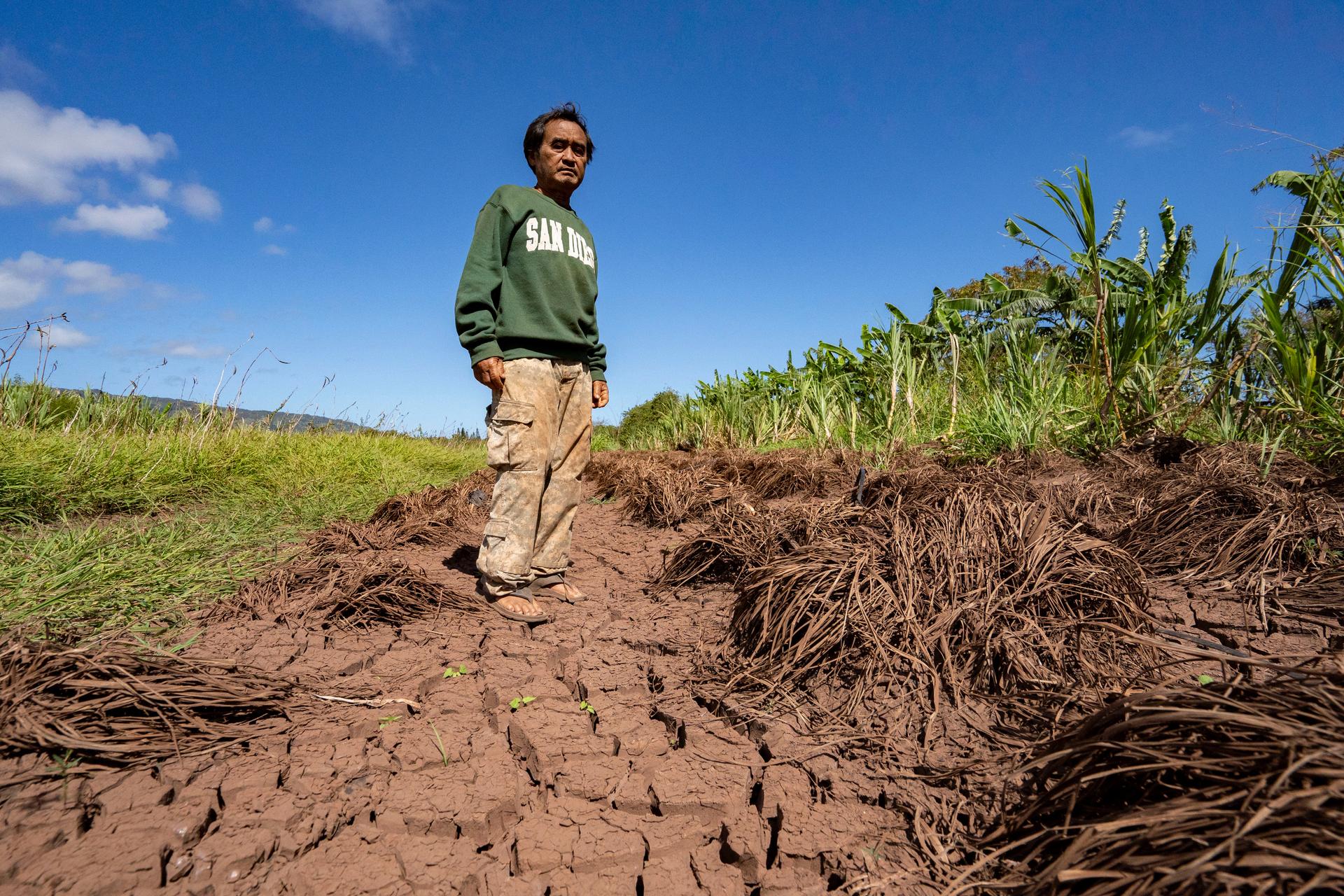 Bok Kongphan poses for a photo at his farm in Waialua, Hawaii, on May 4. (AP Photo/Mengshin Lin)