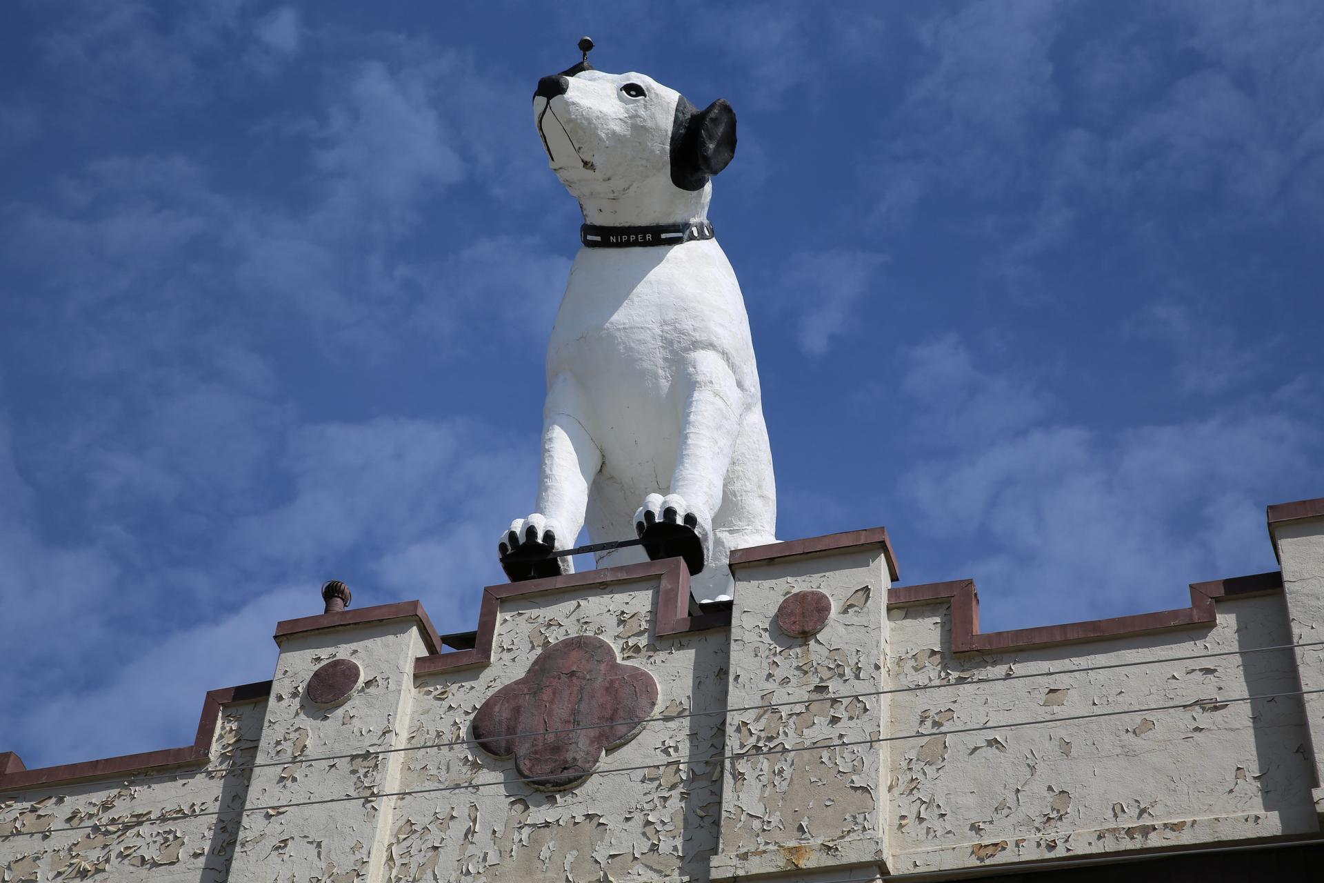 A giant statue of Nipper the dog sits atop of a building in the warehouse district in Albany, N.Y., April 21.