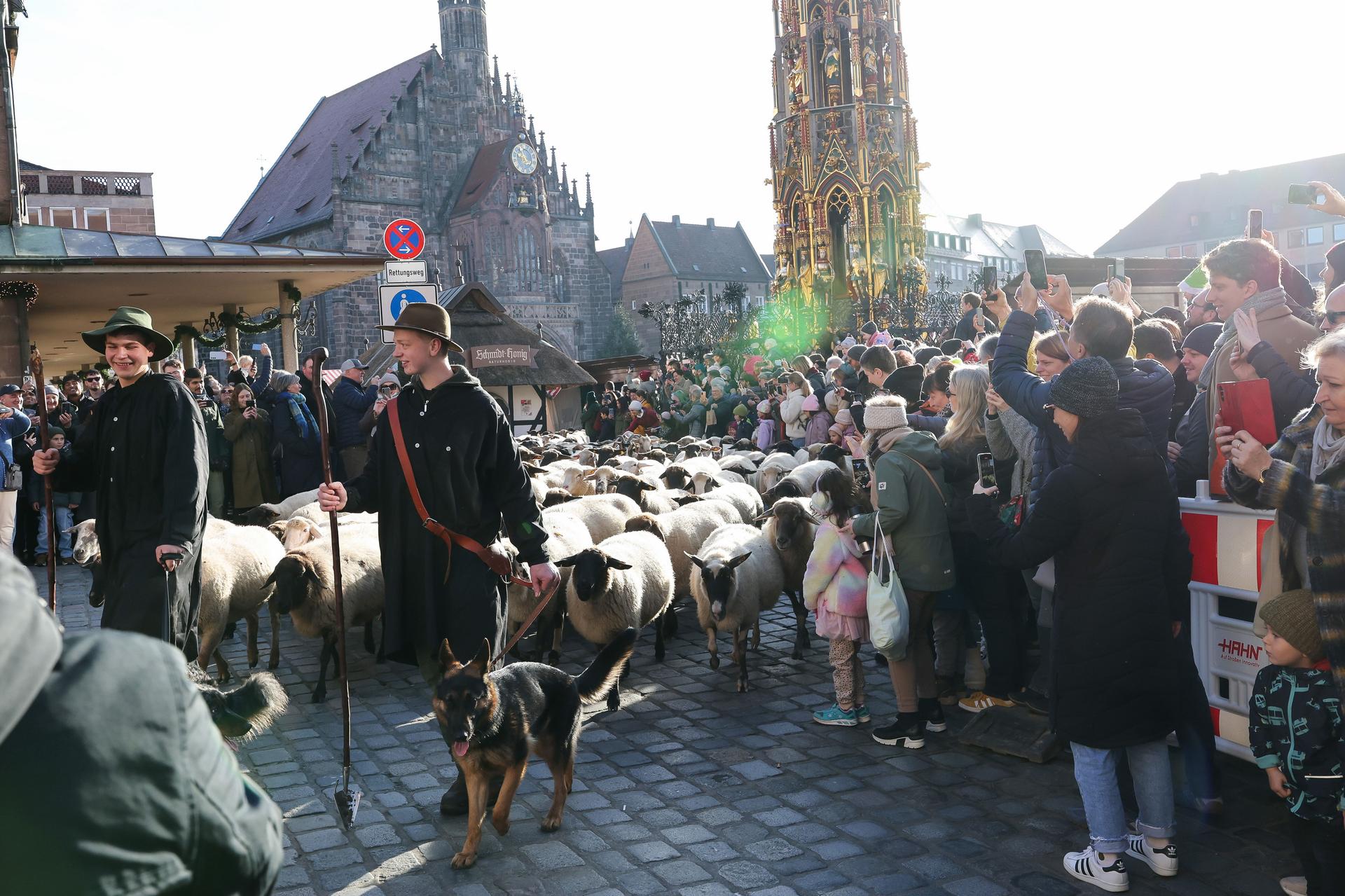 Tim Gackstatter, left and Dirk Gissel lead sheep past the Frauenkirche and the main market square in Nuremberg's city center, Germany, Sunday.
