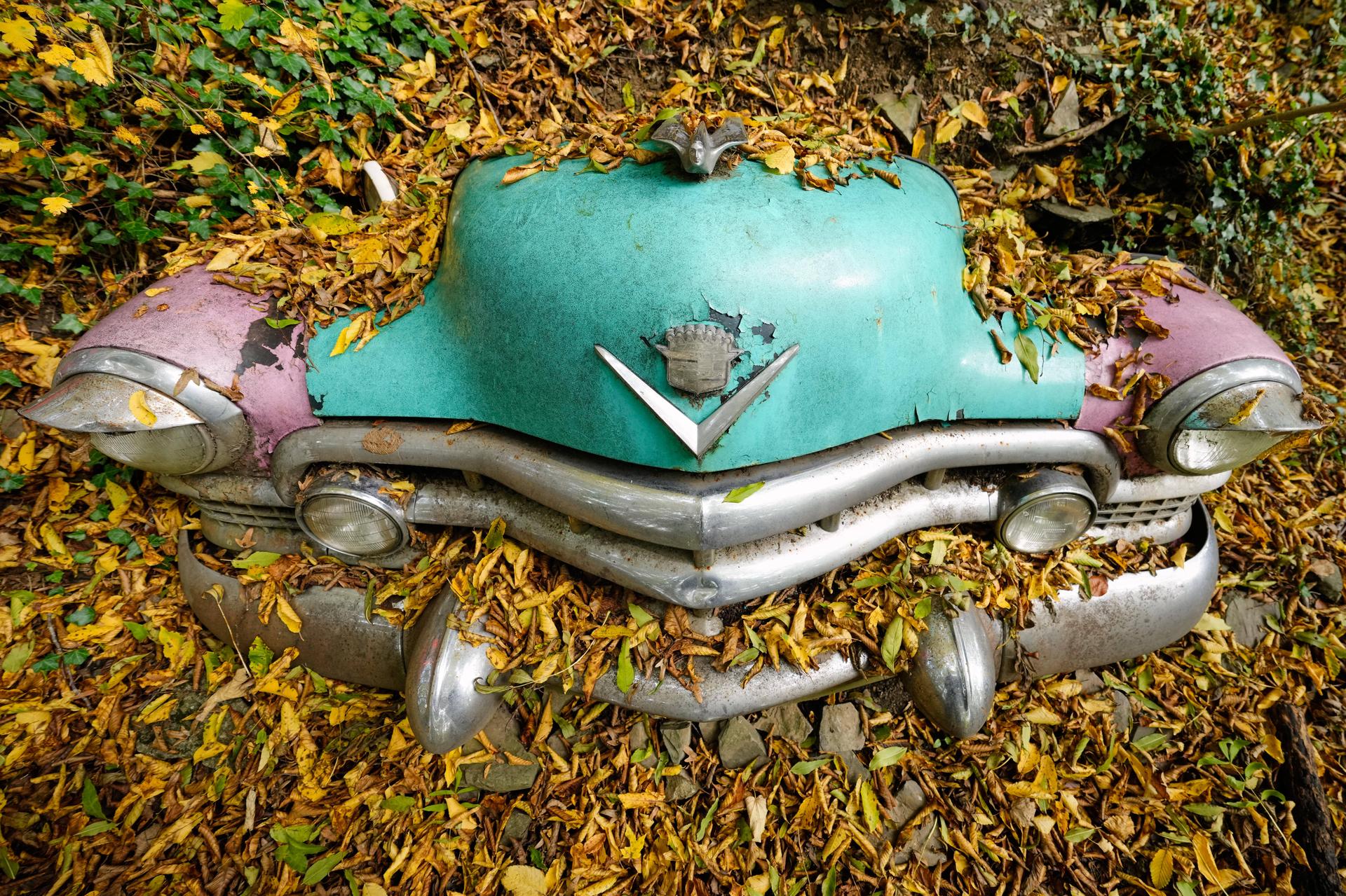 A vintage Cadillac is covered by autumn leaves within a forest in Neanderthal Valley in Mettmann, Germany.