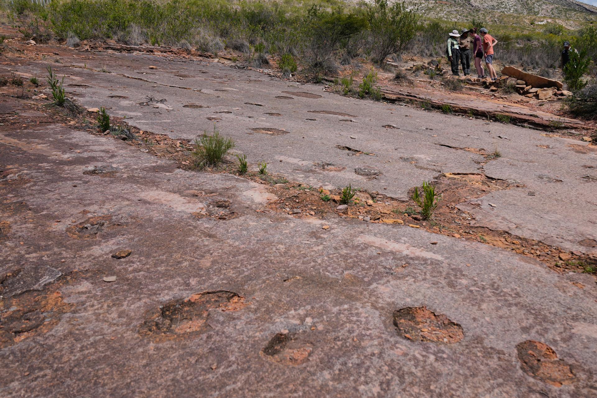 Tourists look at the petrified footprints of dinosaurs at Carreras Pampa in Toro Toro National Park, north of Potosi, Bolivia, Saturday. (AP Photo/Juan Karita)