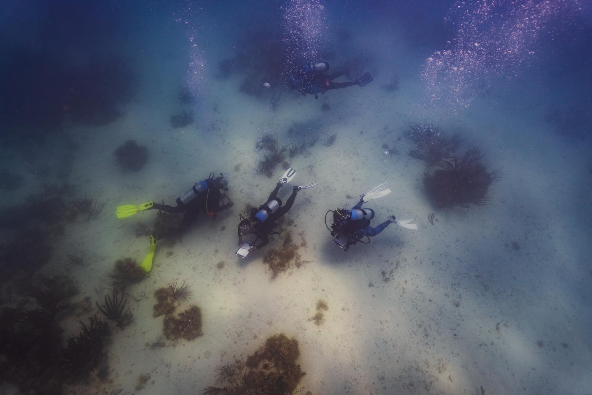In this photo provided by Kory Lamberts, Black divers with the Underwater Adventure Seekers visit the wreck site of the Henrietta Mari off the coast of Key West, Fla., on Friday. (Kory Lamberts/Aquatic Futures Foundation via AP)