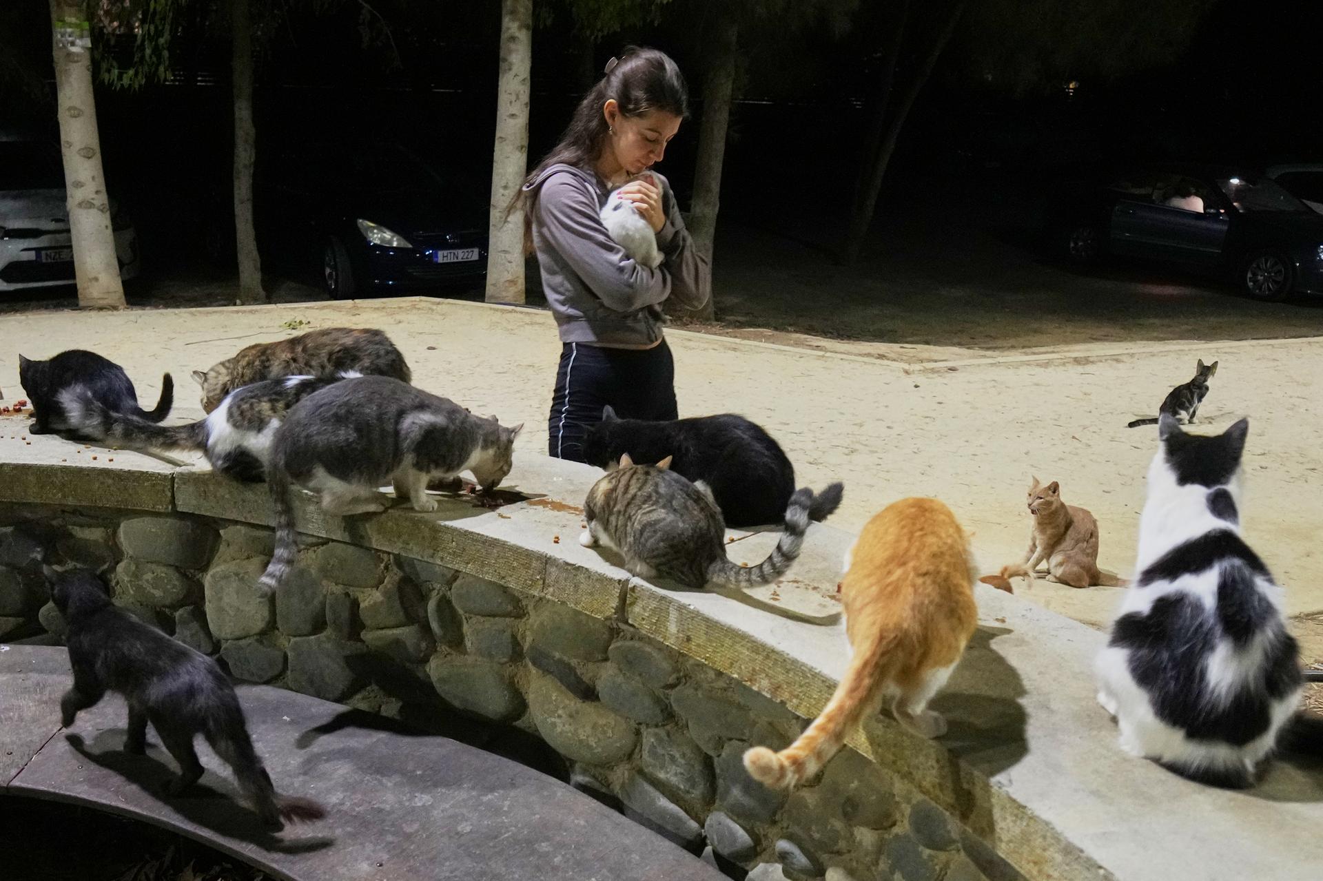 A woman holds a cat at a park in Strovolos area of capital Nicosia, Cyprus, on Oct. 6. (AP Photo/Petros Karadjias)