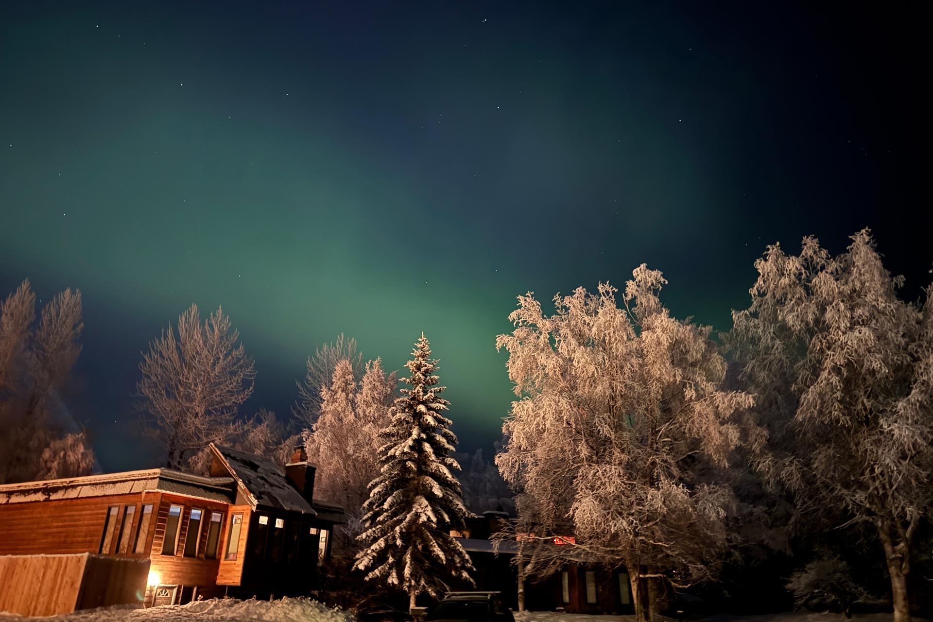 The northern lights glow behind trees covered in hoarfrost over Anchorage, Alaska, Nov. 2025.
