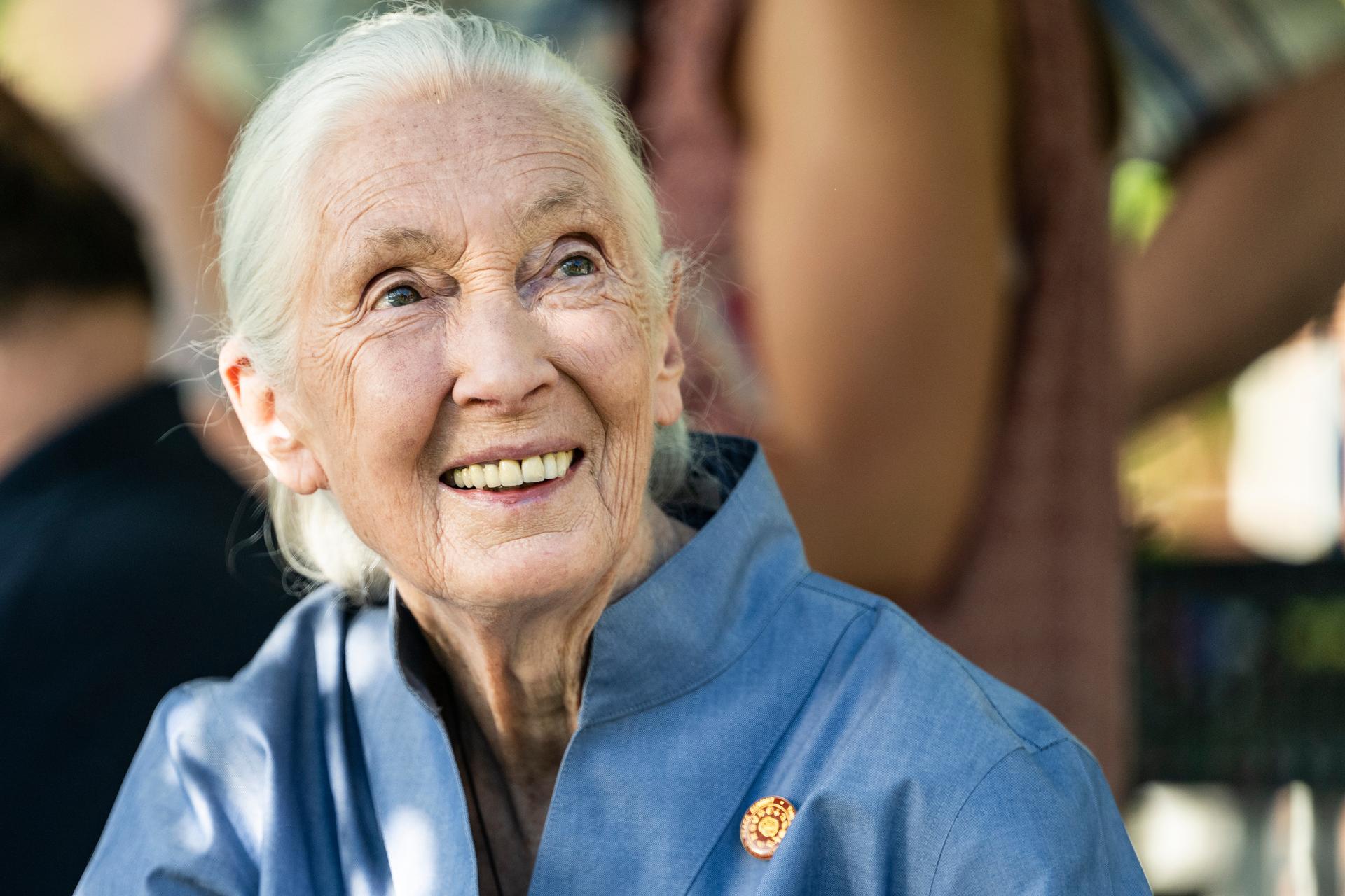 Dr. Jane Goodall smiles before speaking at the University of Montana President's Lecture Series in June 2022. (AP Photo/Tommy Martino)