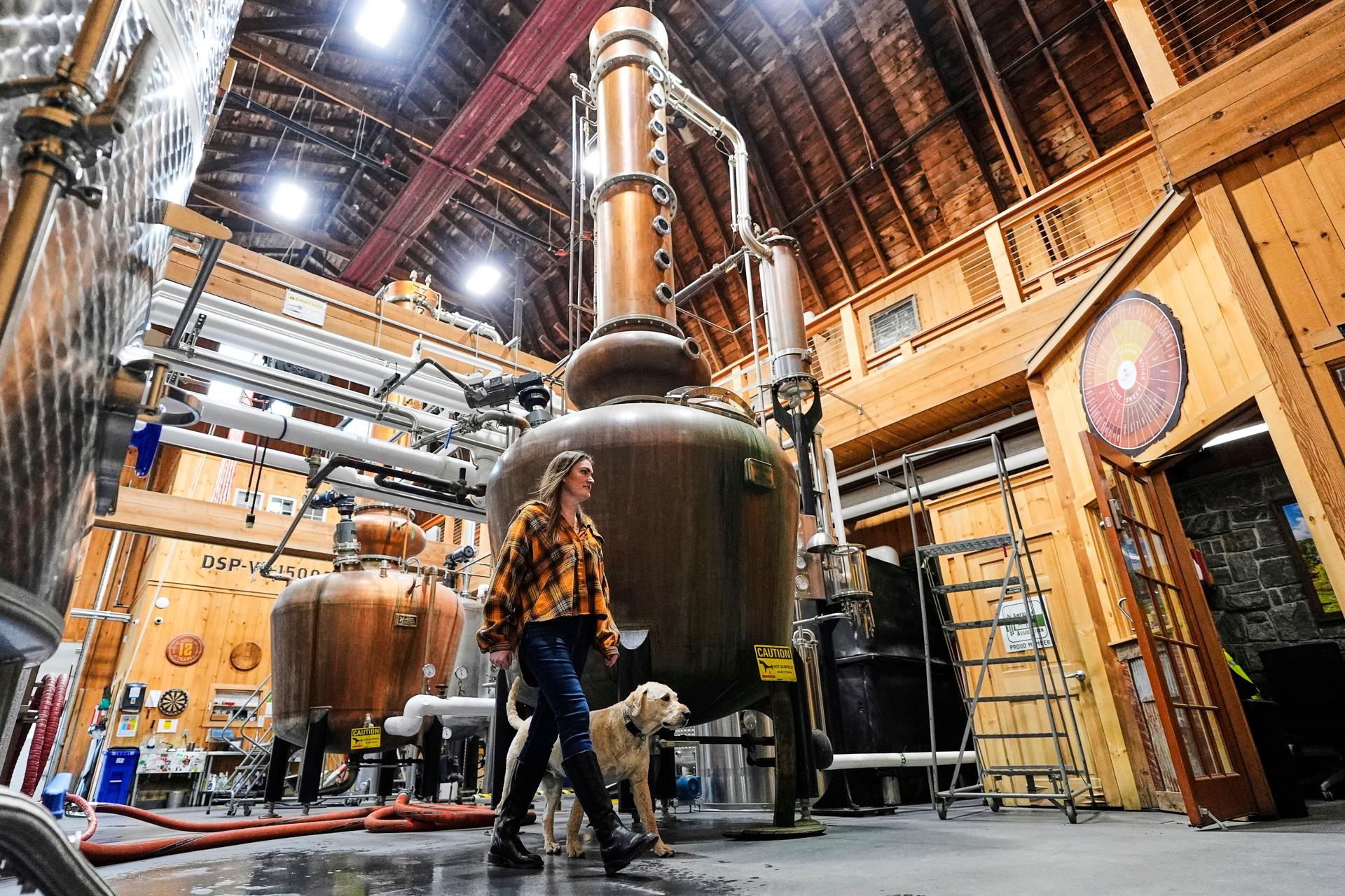 Meghan Ireland and her dog, Murphy, walk by one of the 750-gallon pot and column whiskey stills at the WhistlePig distillery April 6 in Shoreham, Vermont. (AP Photo/Robert F. Bukaty) 