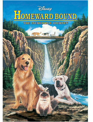 HOMEWARD BOUND: THE INCREDIBLE JOURNEY