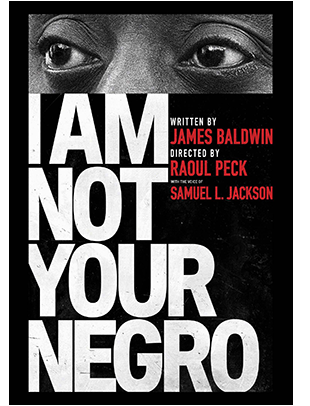 I AM NOT YOUR NEGRO