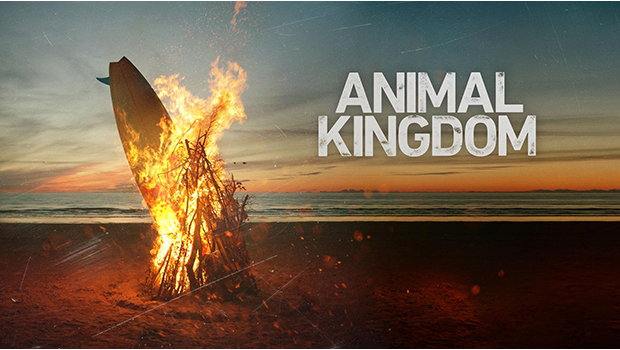 ANIMAL KINGDOM