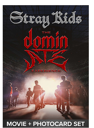 STRAY KIDS: STAY TOGETHER FAN BUNDLE
