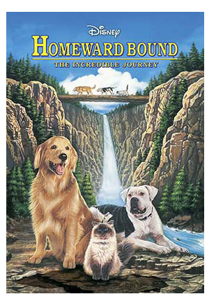 HOMEWARD BOUND: THE INCREDIBLE JOURNEY