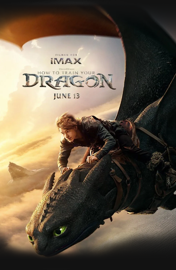 HOW TO TRAIN YOUR DRAGON