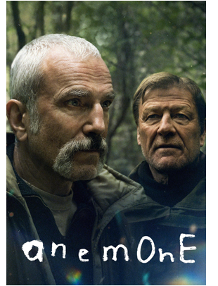 ANEMONE