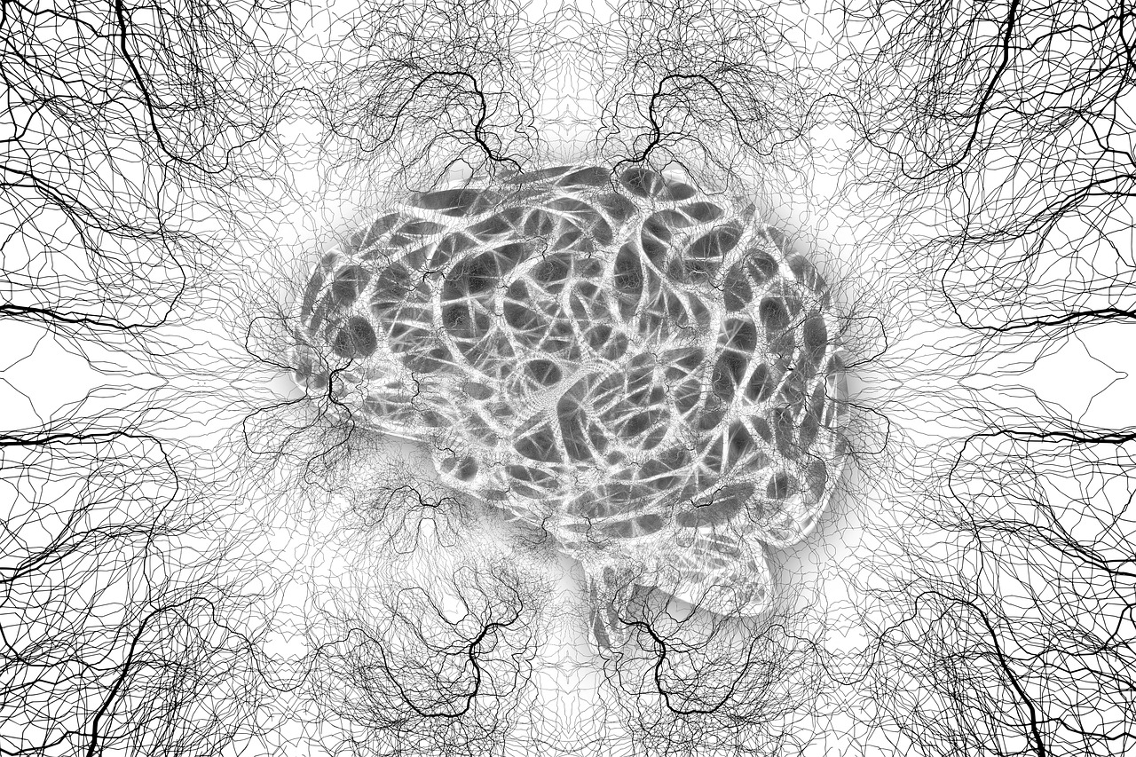 A brain at the center of a web of synapses