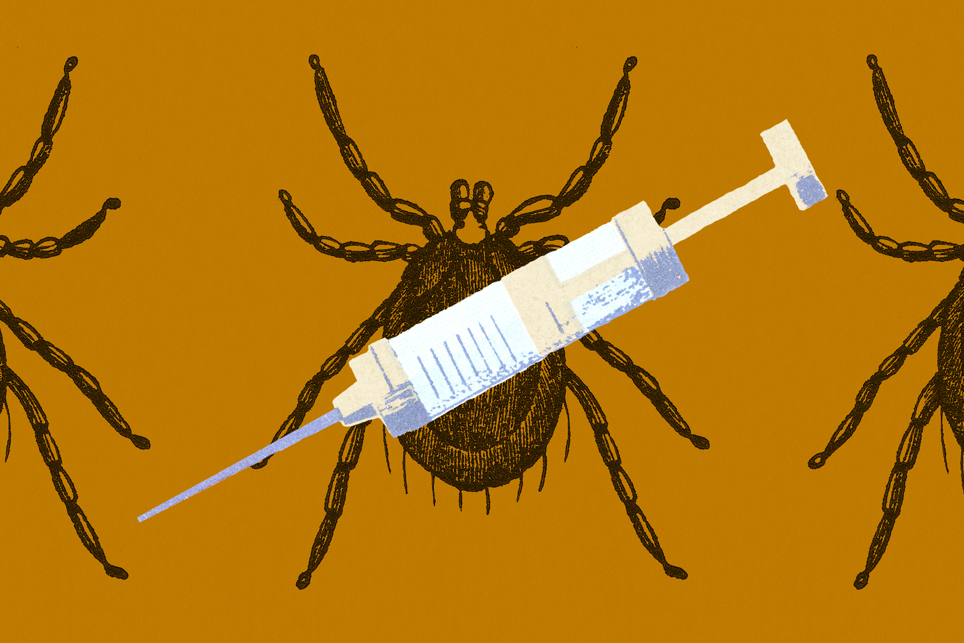 An illustration of a syringe over three ticks.