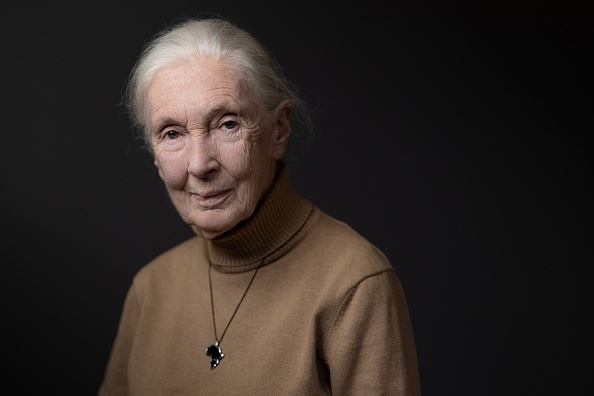 Jane Goodall