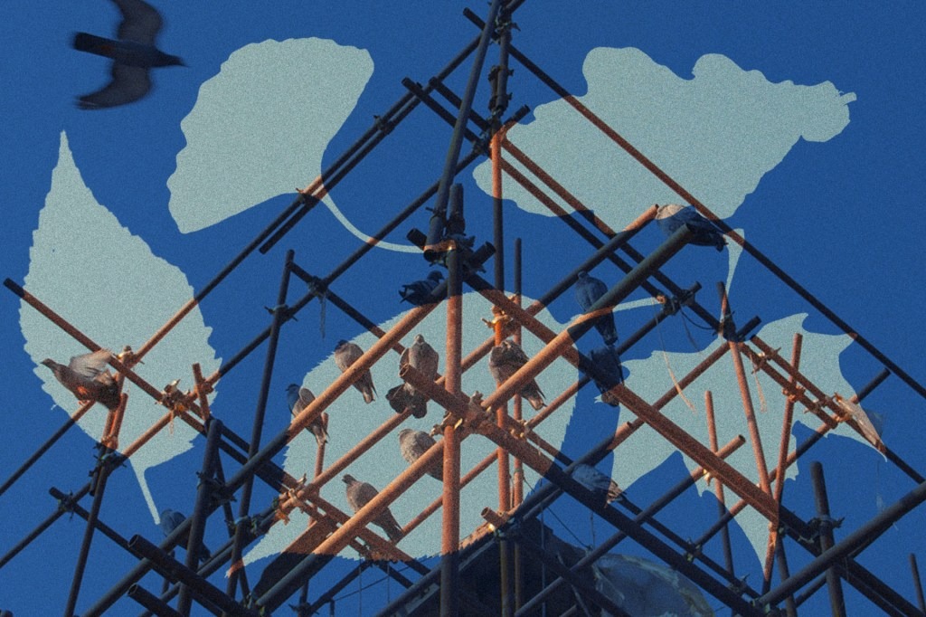 An illustration of birds perched on scaffolding