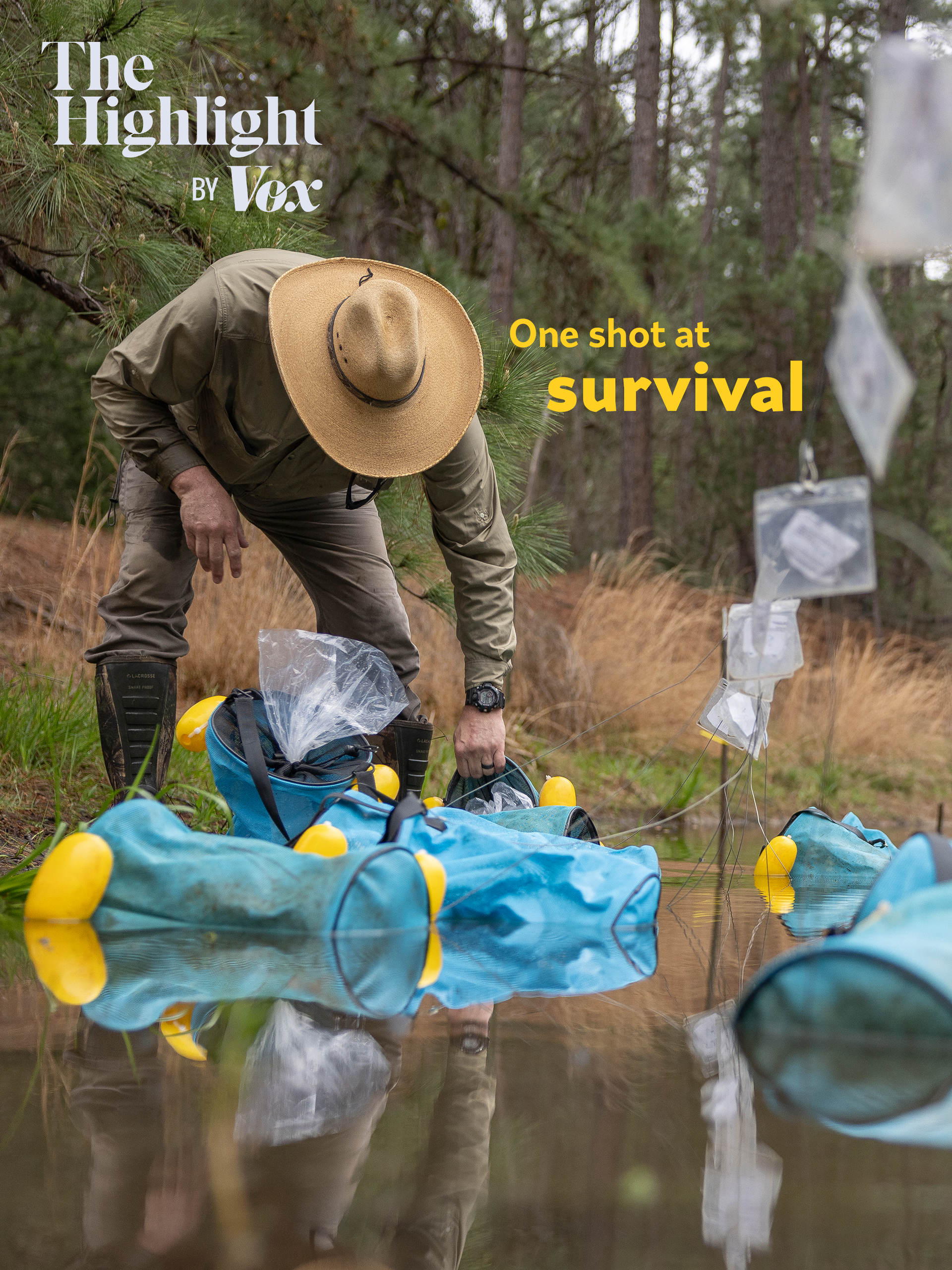 October 2025 Highlight cover: One shot at survival