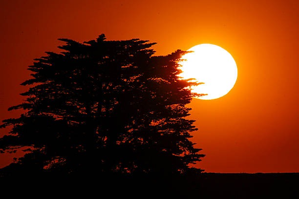an illustration of a Tower of Babel-esque AI god under construction. Two architects speak to each other on top. The scaffolding is broken in several places