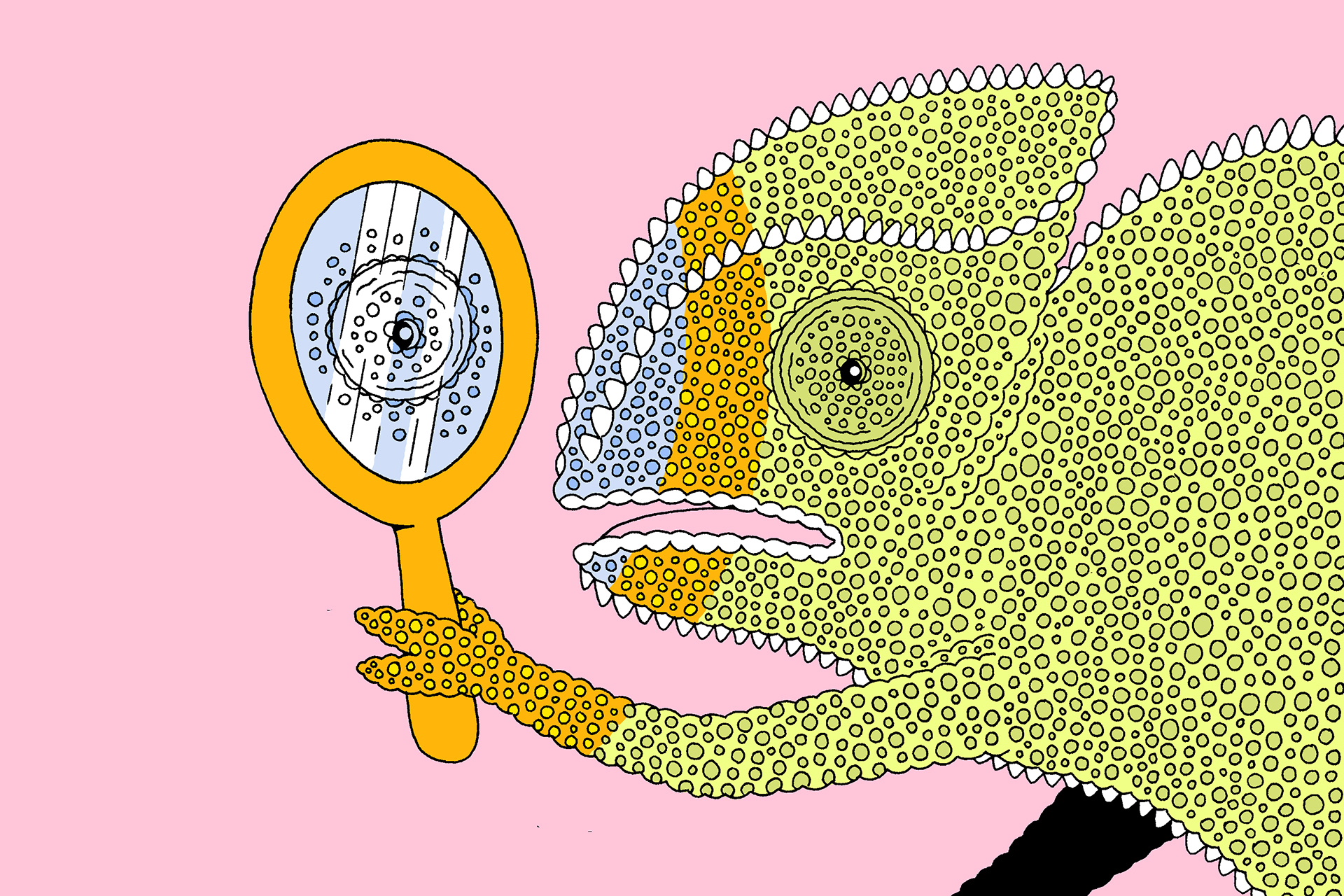 An illustration of a chameleon looking into a handheld mirror.