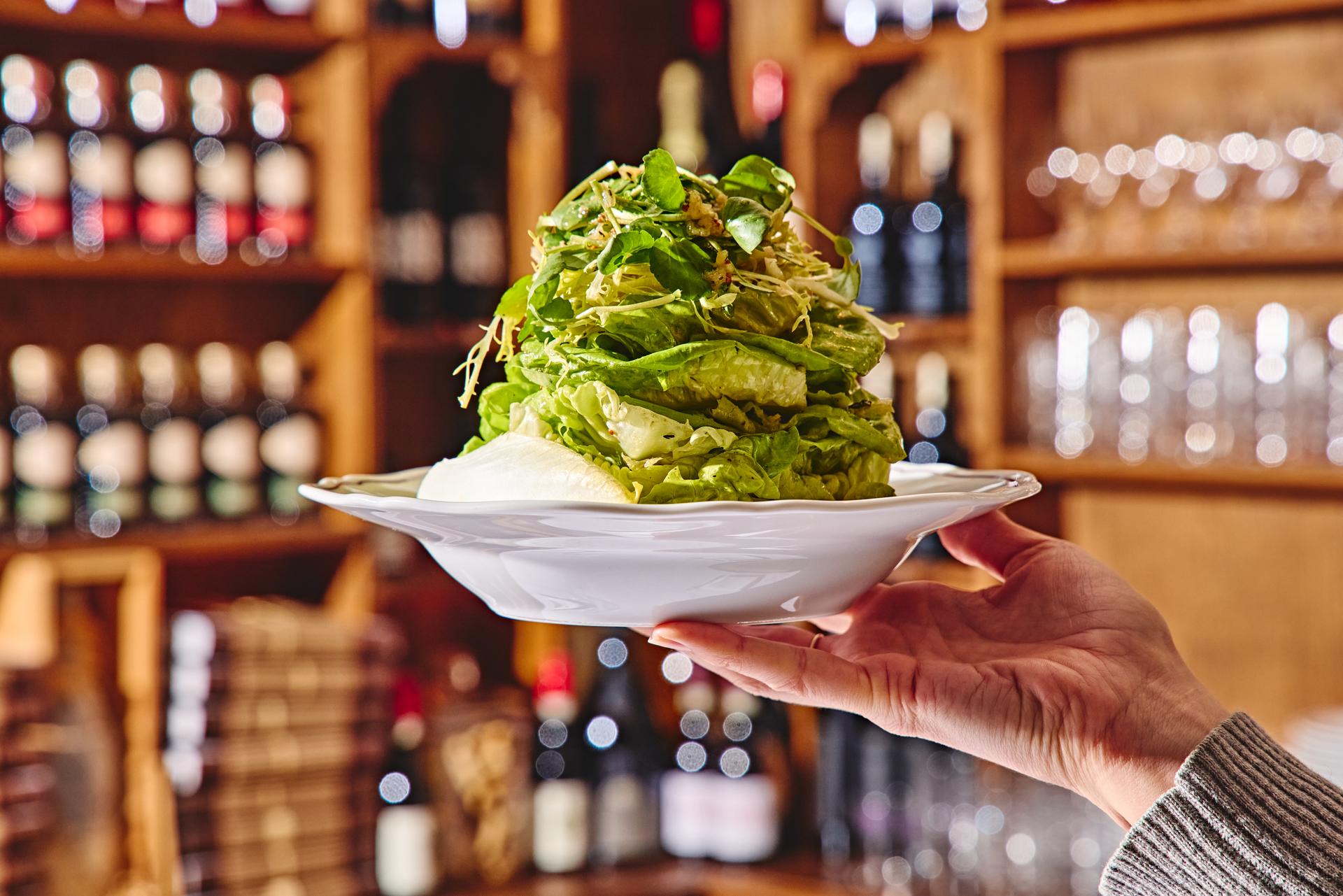 A plate of salad being held up.
