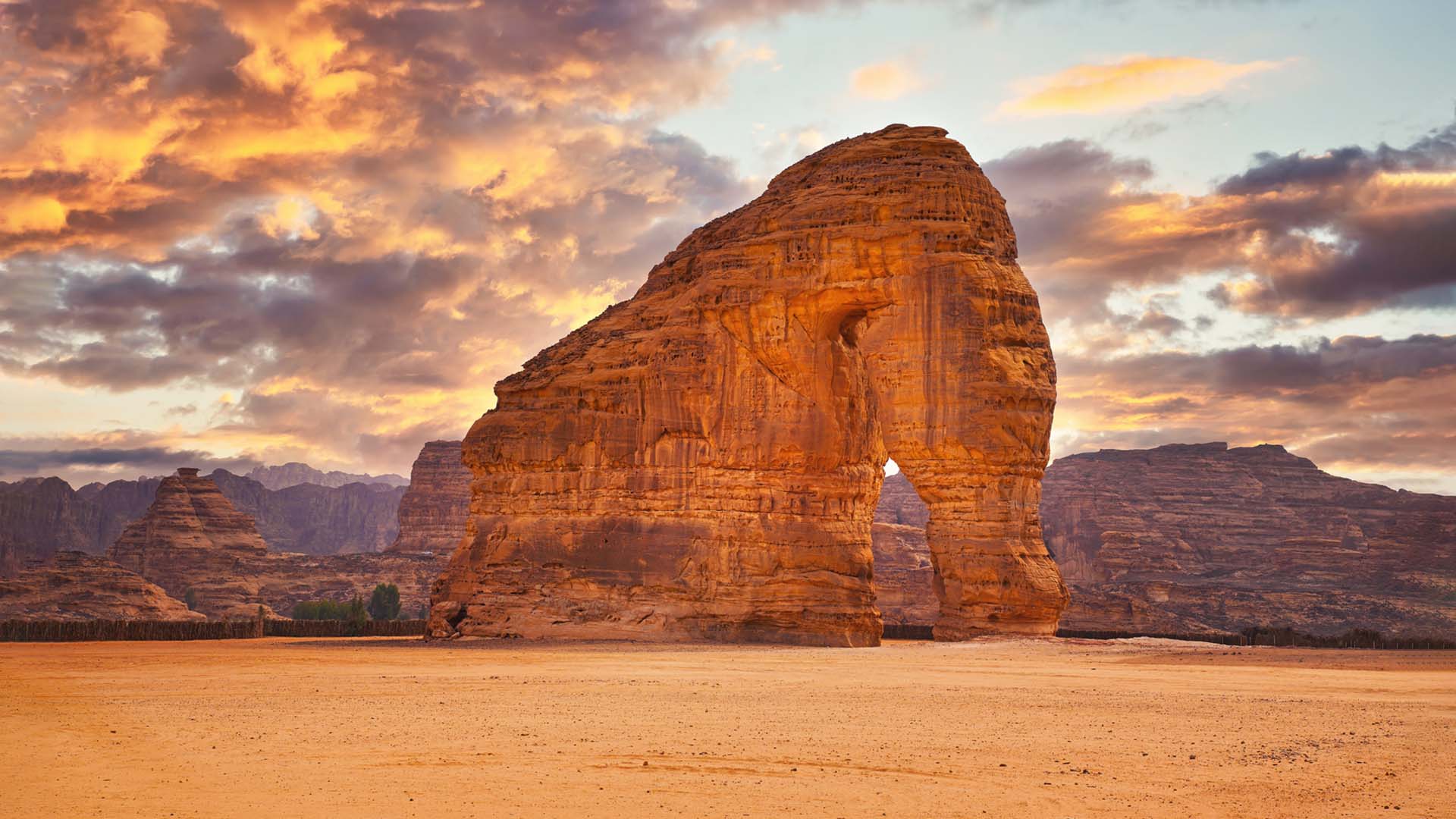 Nature image