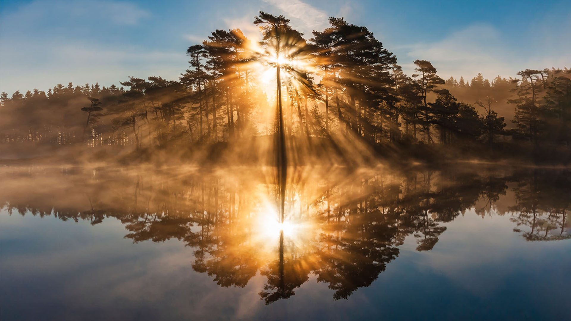Nature image