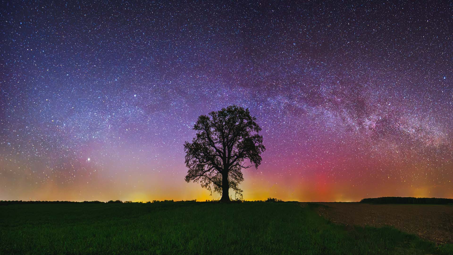 Nature image