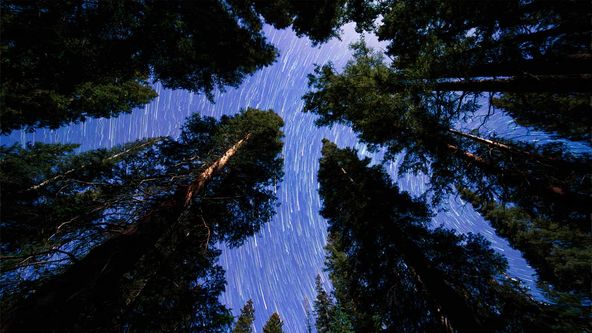Nature image