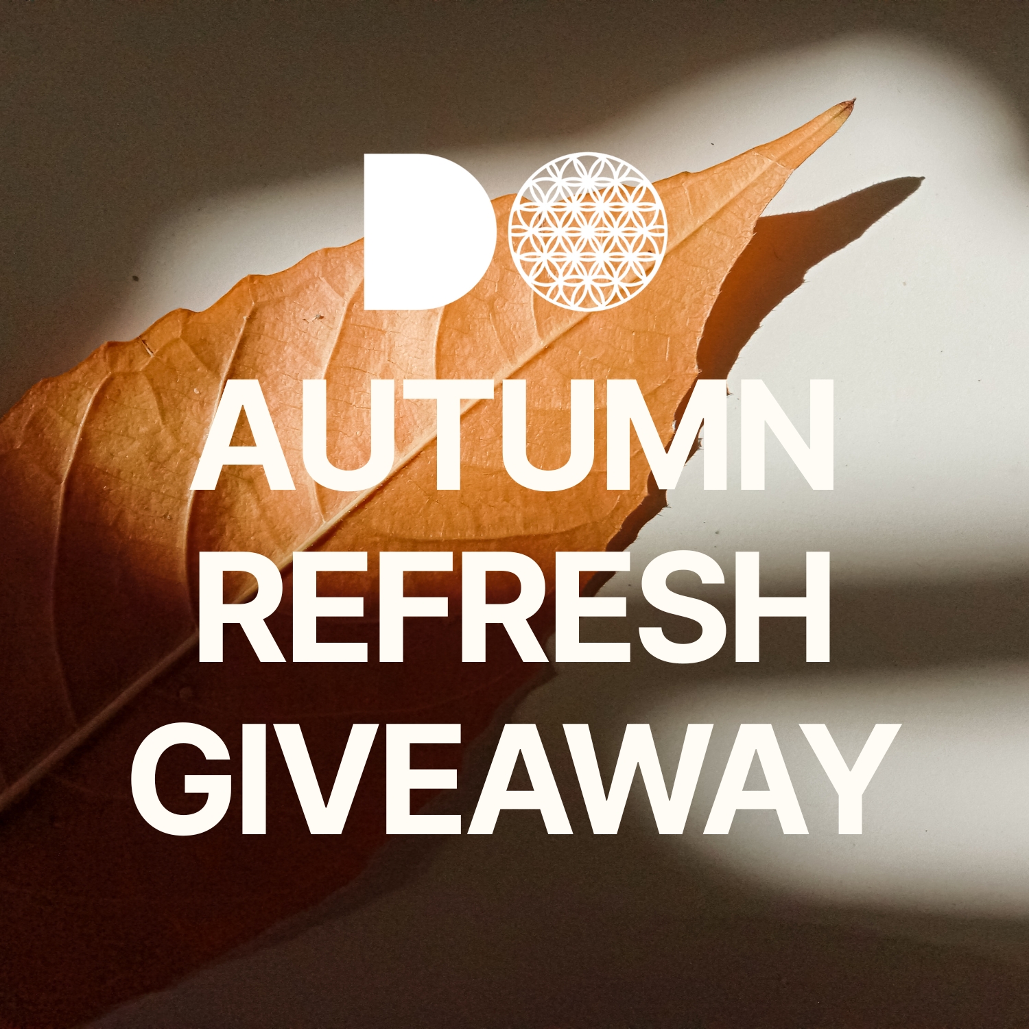 Social media giveaway announcement banner