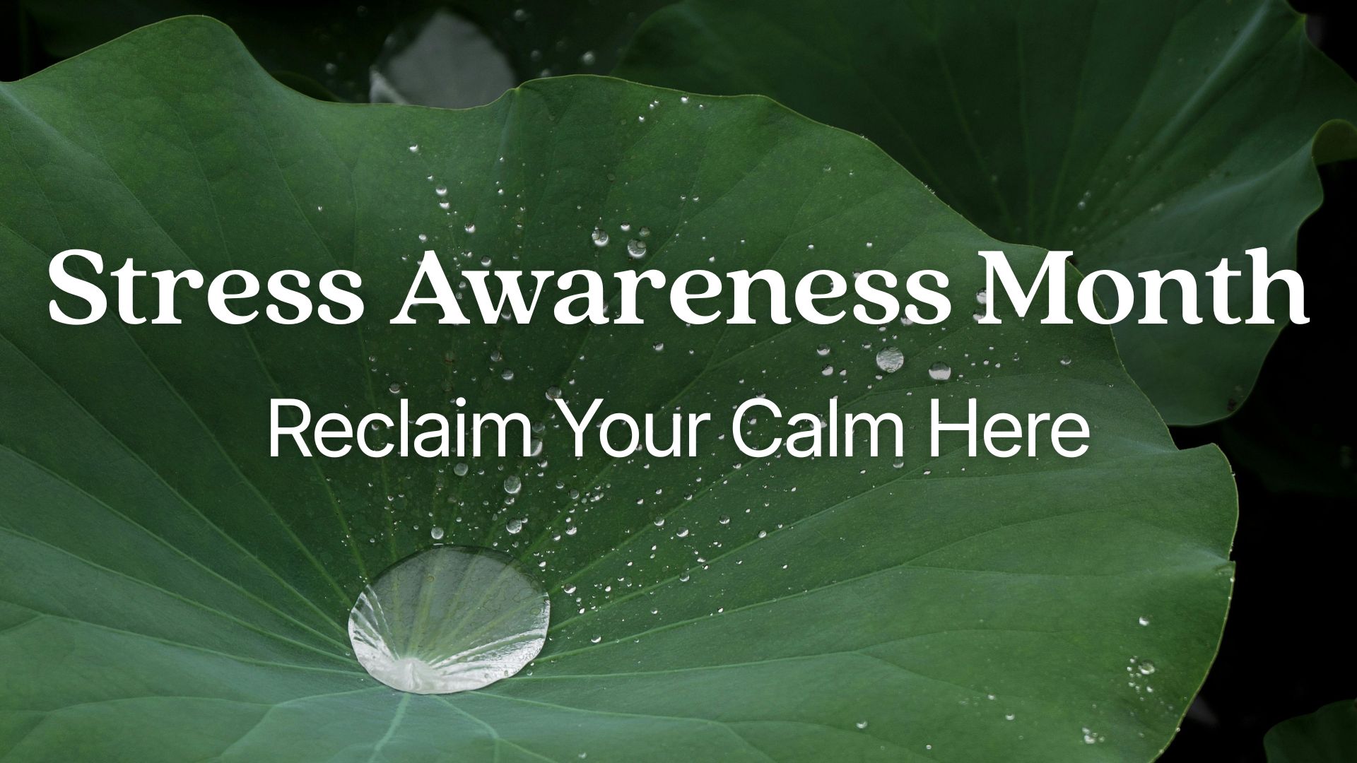 Stress Awareness Month