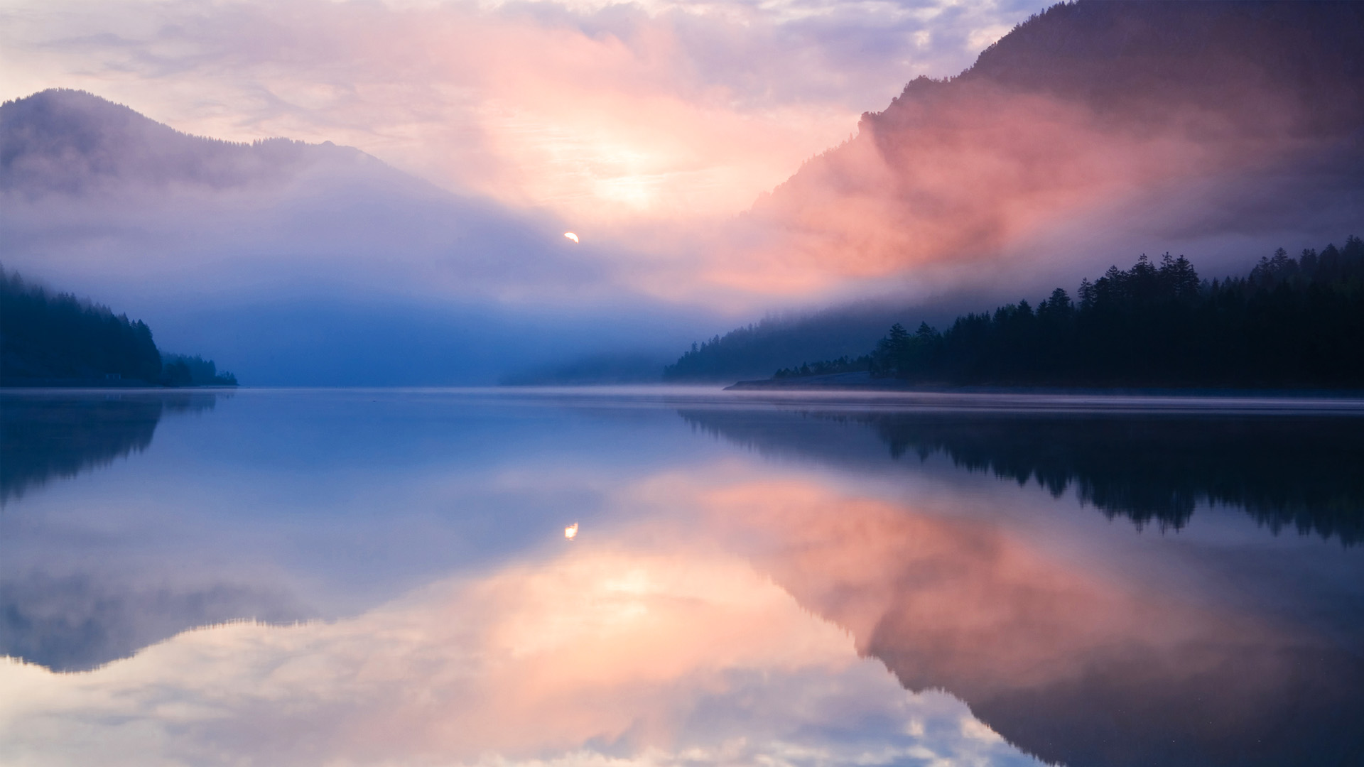 Nature image