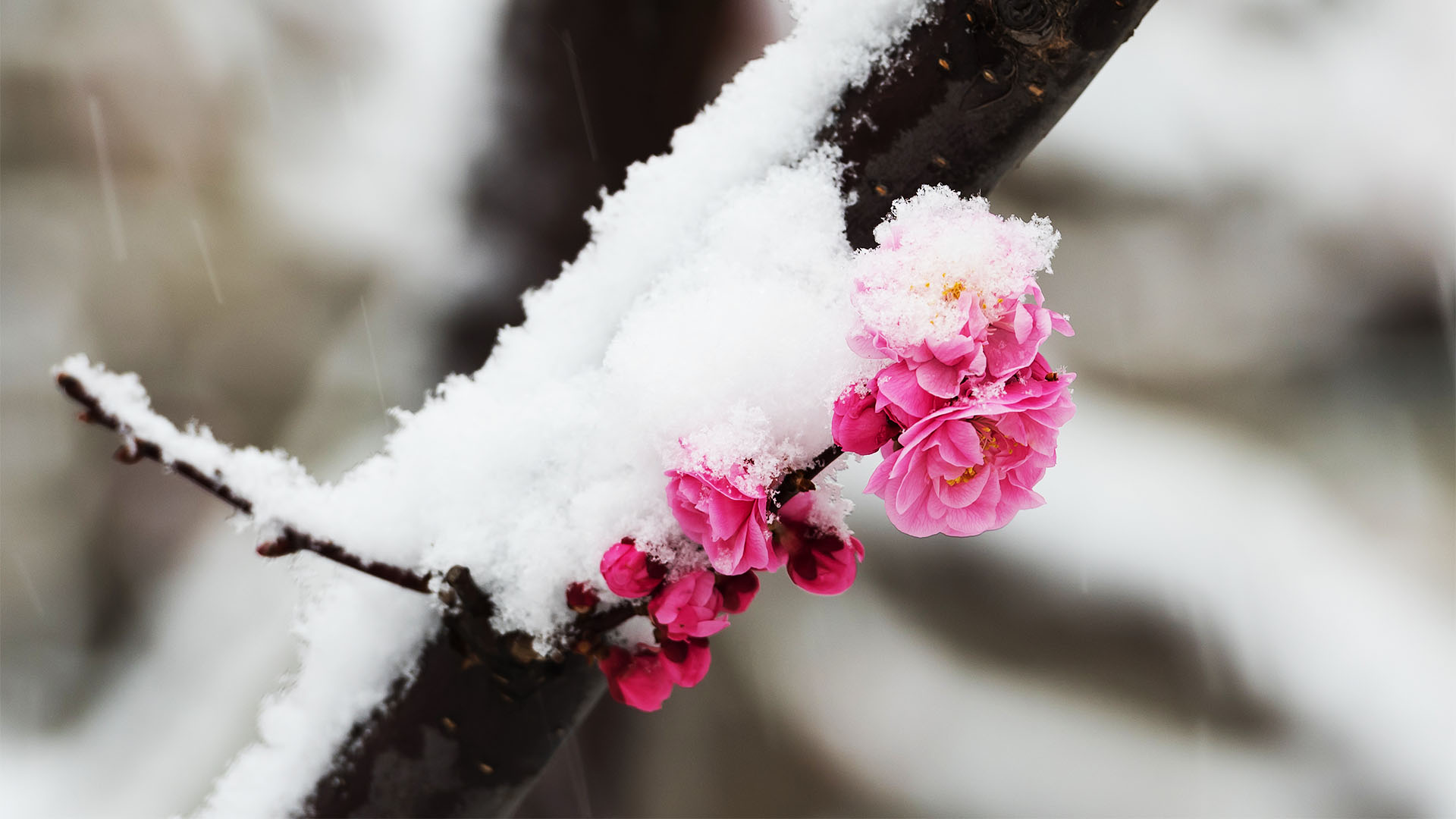 Nature image of sunset and rocks