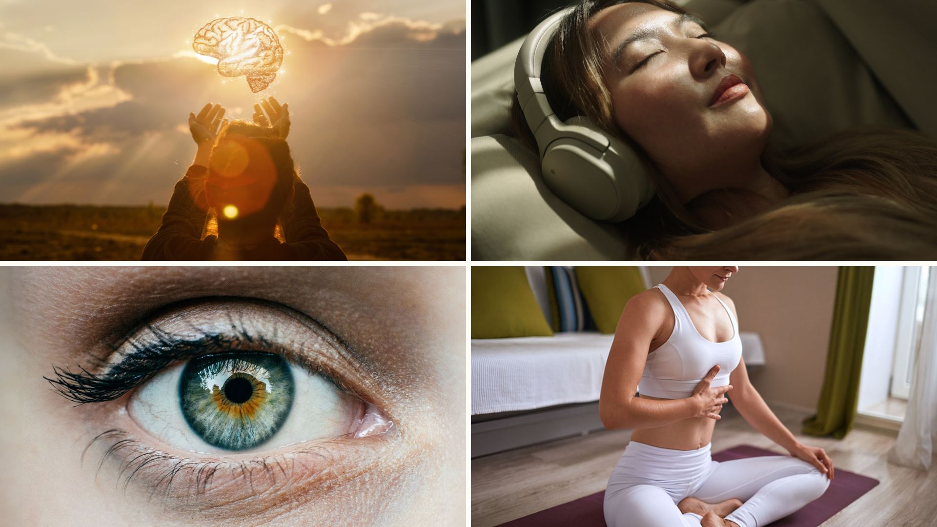 Bundle image with 4 images in a collage