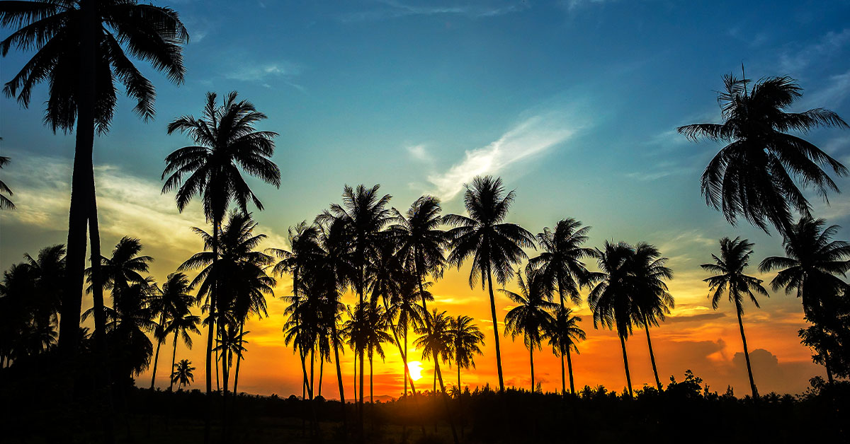 Nature image of snowy mountains