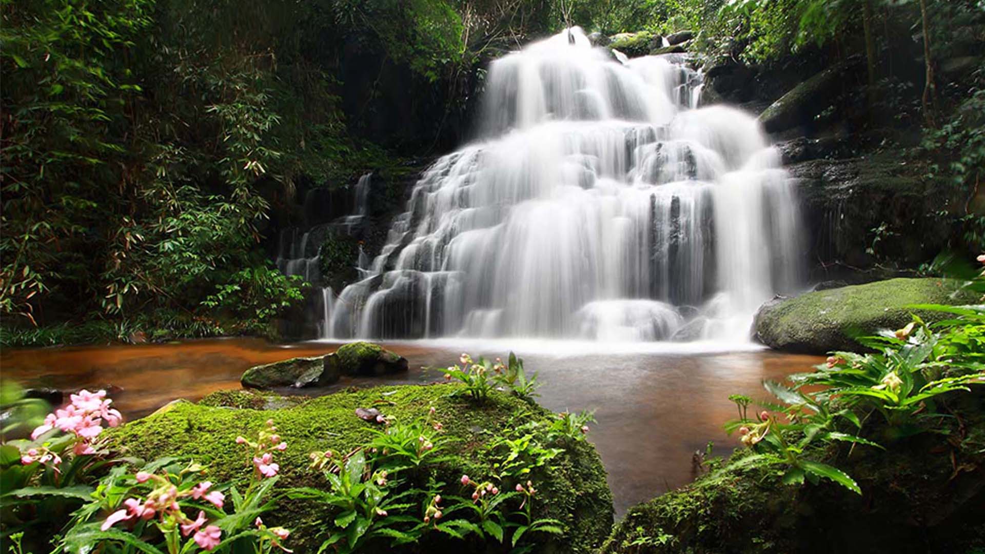 Nature image