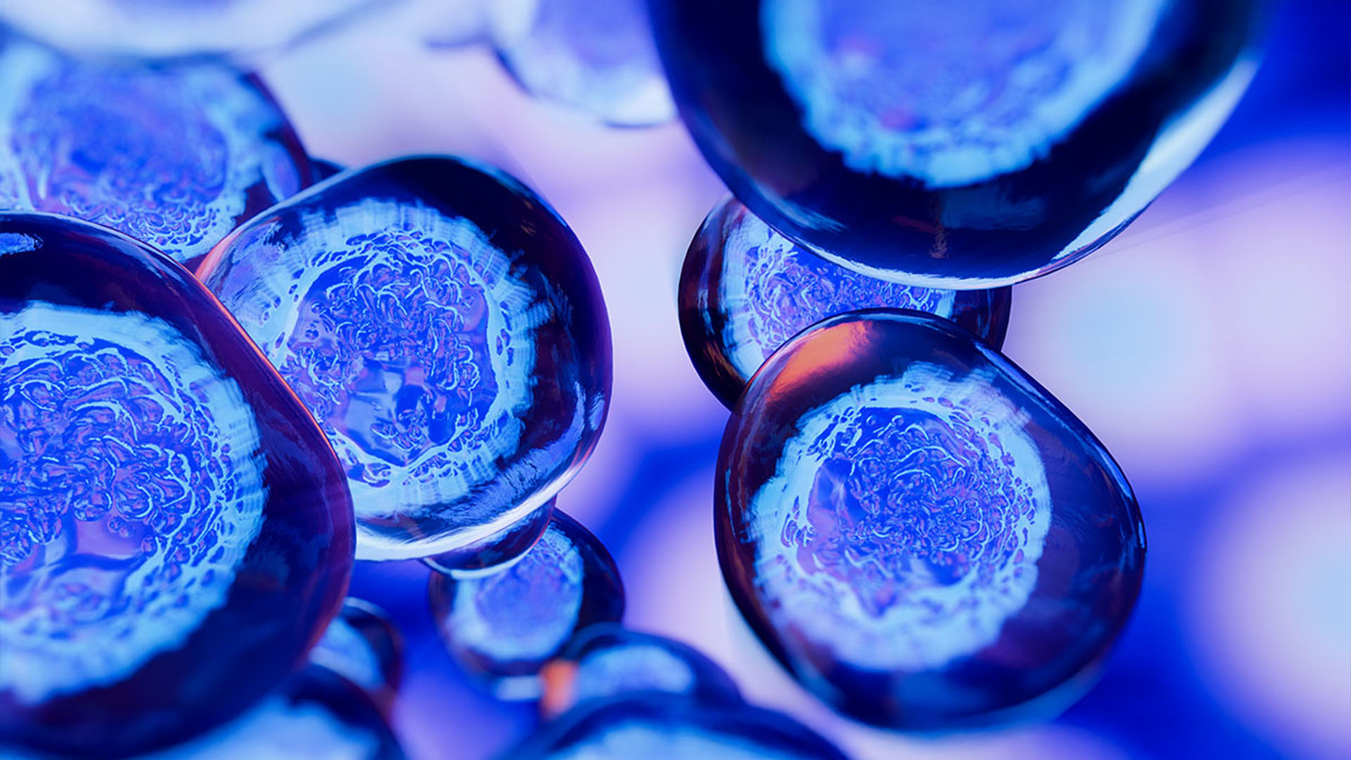 metabolic mitochondrial