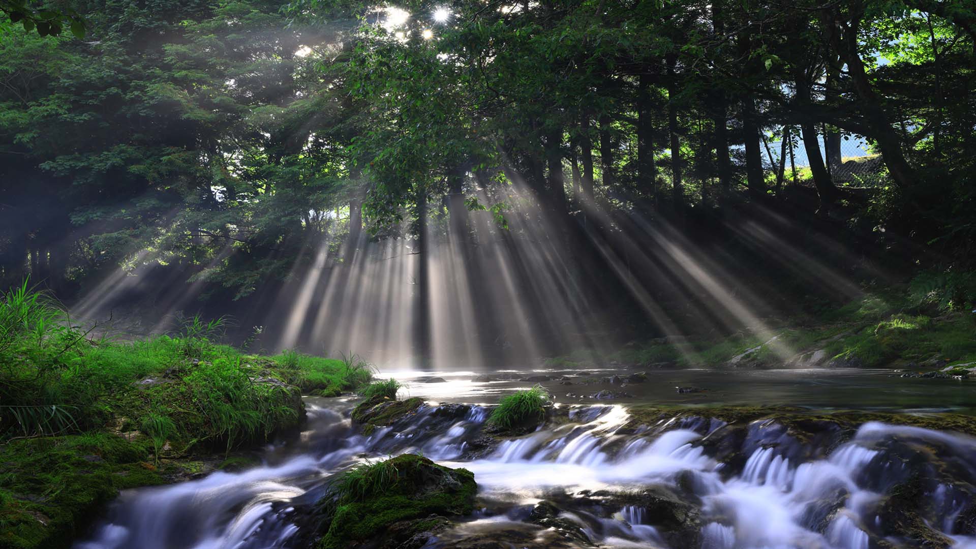 Nature image