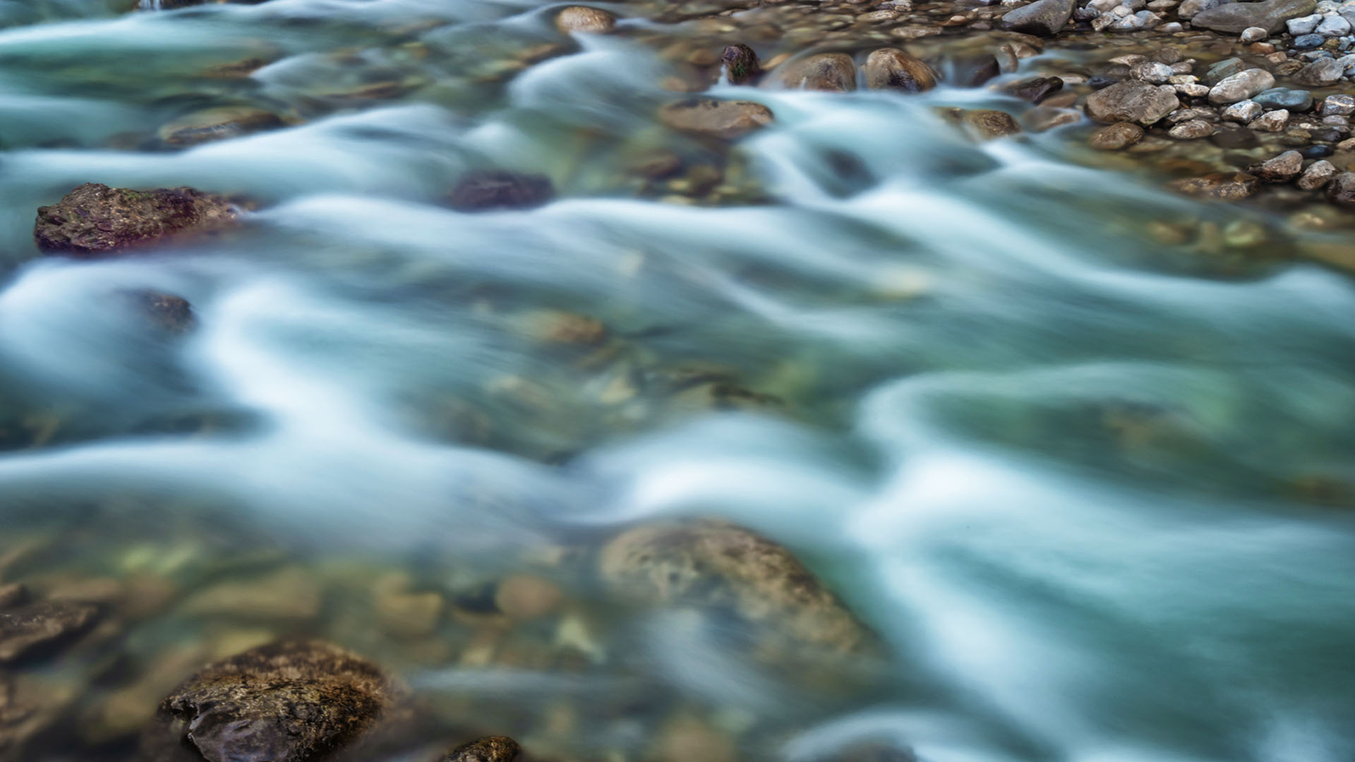 Nature image