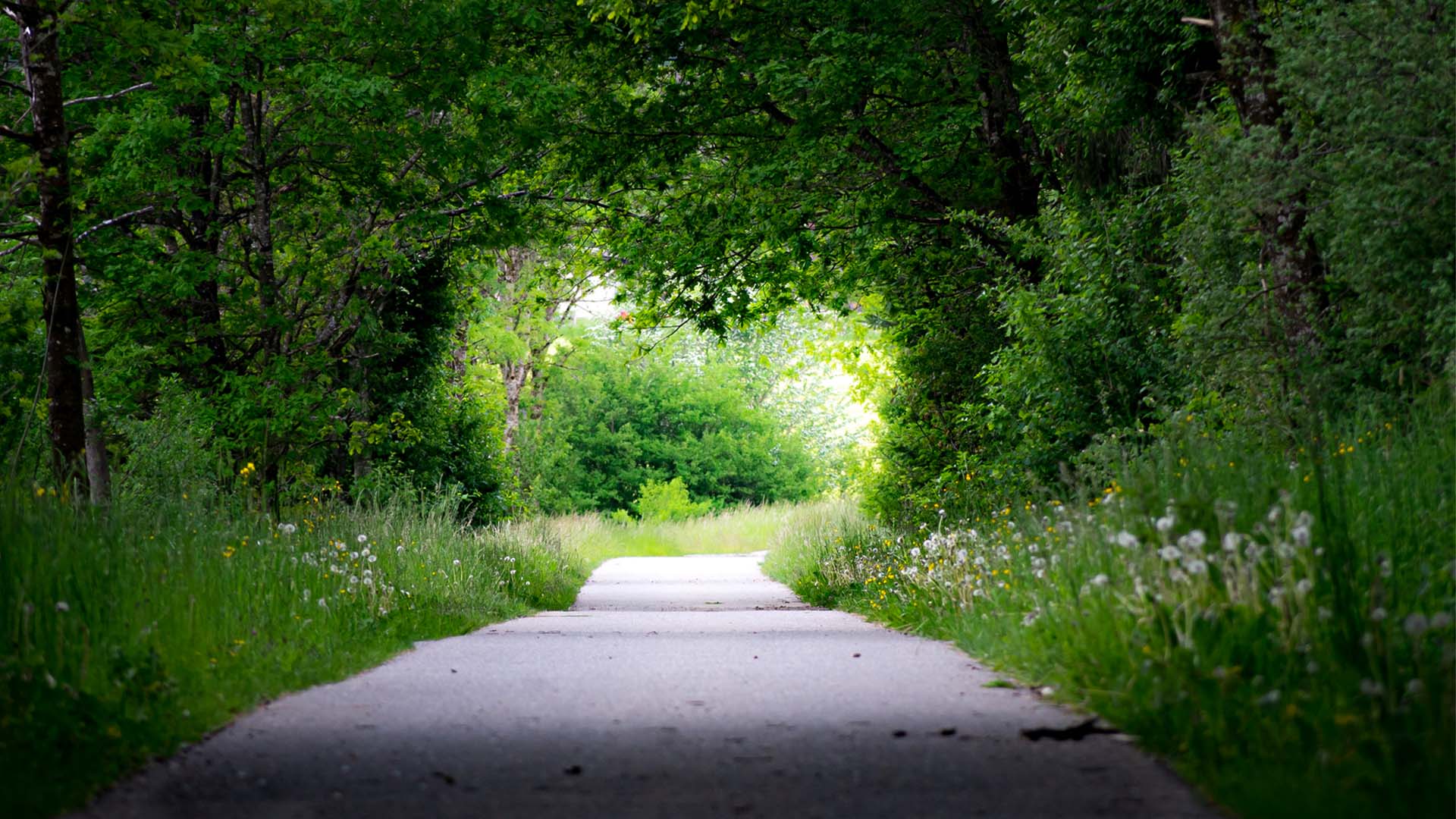 Nature image