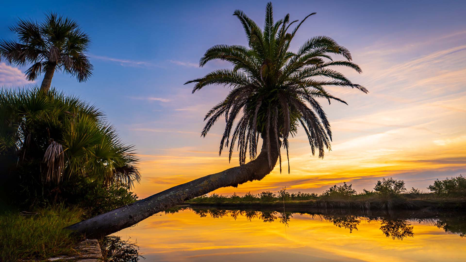 Nature image