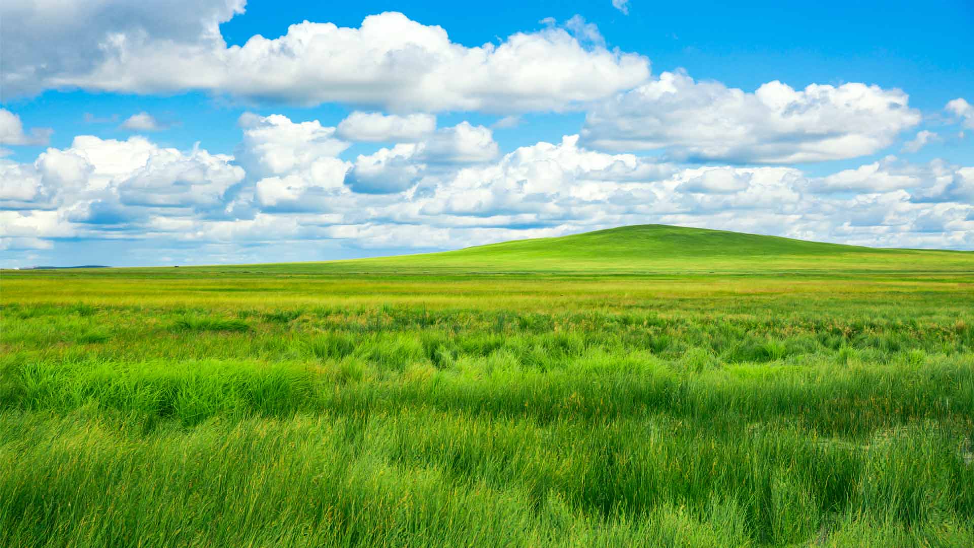 Nature image