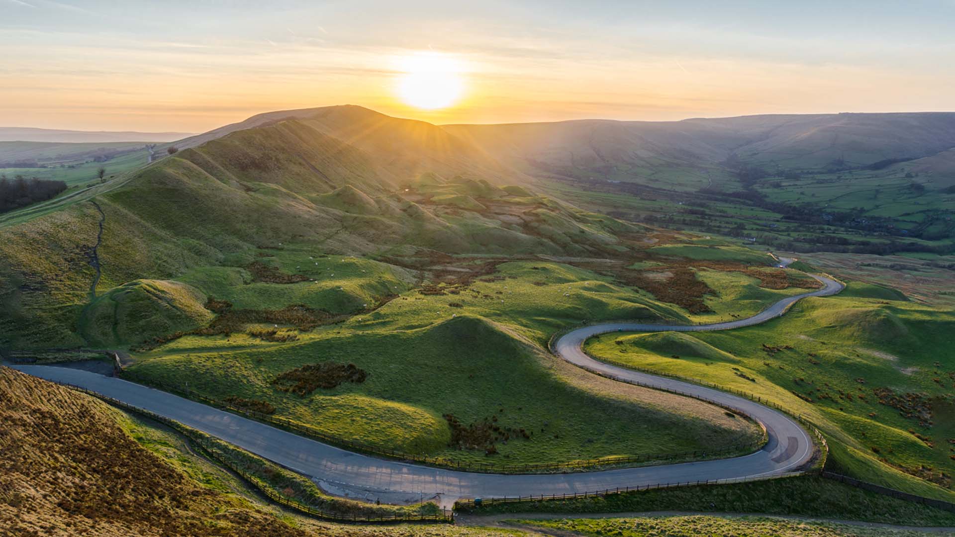 Nature image of flower